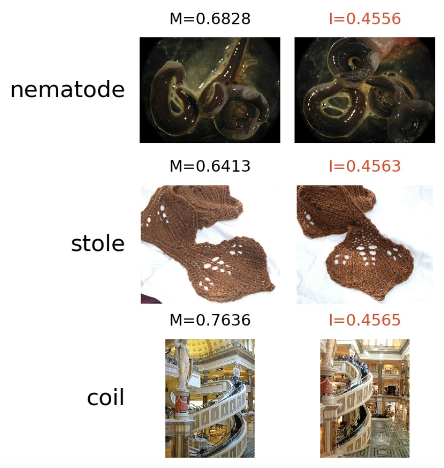 Three rows and two columns of images, where the image on the left is the memorized image from the training data and the image on the right is the image most influenced by this memorized image when it appears in the evaluation or testing dataset. In the top row, there is a worm-like animal called a nematode where the photos look nearly the same, in the middle row there is a stole that is light brown and crocheted, the same stole is in both photos and in the bottom row there is a circular staircase labeled as a coil. Both photos show the same staircase at slightly different angles.