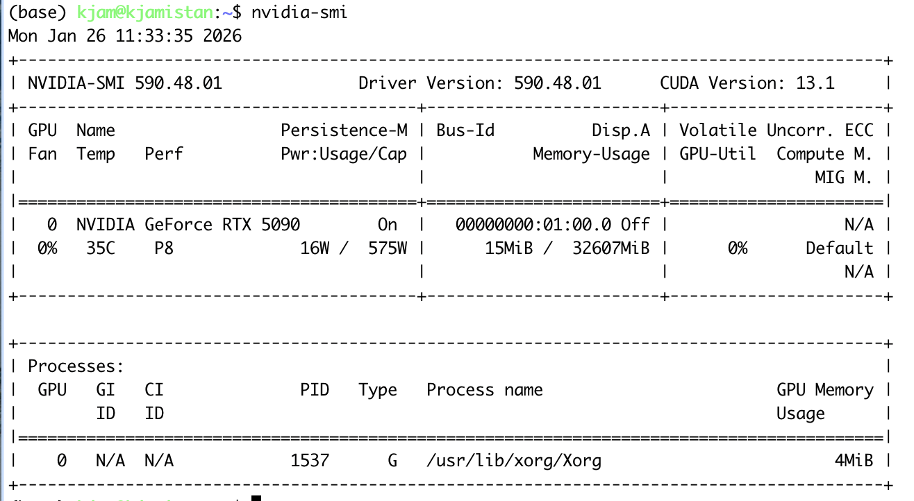 A screenshot of the output of nvidia-smi command. It shows a table where the GPU is listed and then a following table with the processes running on the GPU.